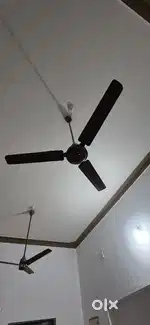 Cieling fan for sale