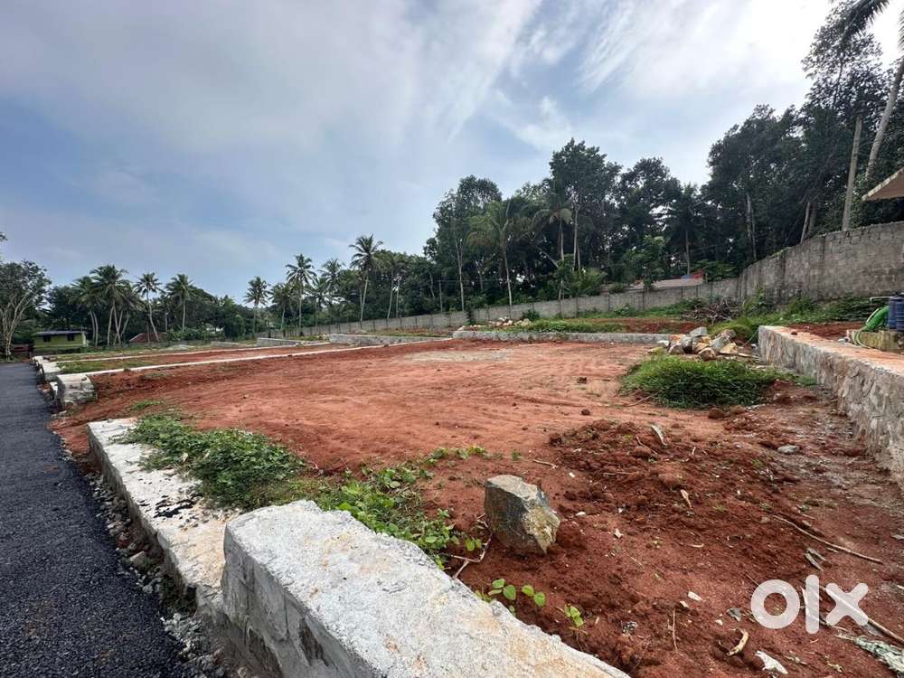 Residential plot(s) for sale in Koliyoor, Trivandrum