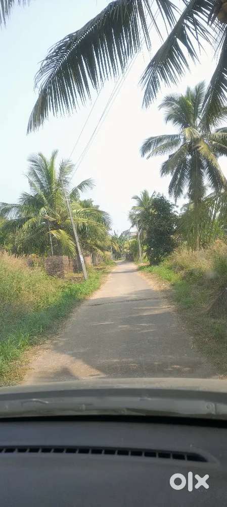 Land for sale in kadekar, Udupi