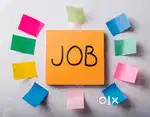 100% WORK FROM HOME