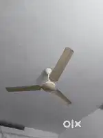 Ceiling fan