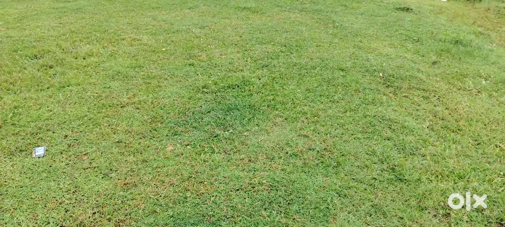 3000 sf Pallikaranai land for rent