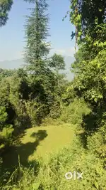 4 Bigha 6 Biswa Land for Sale