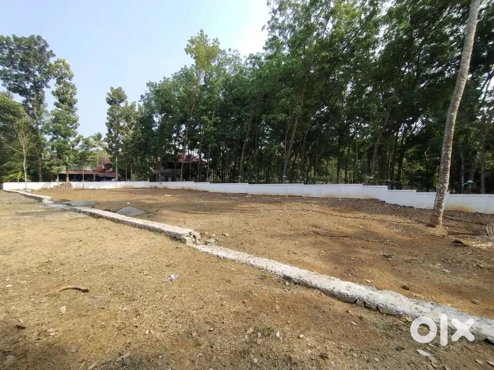 Koratty Infopark & Kinfra Nearby 6.75 Cent Plot-90% Loan-Free Reg