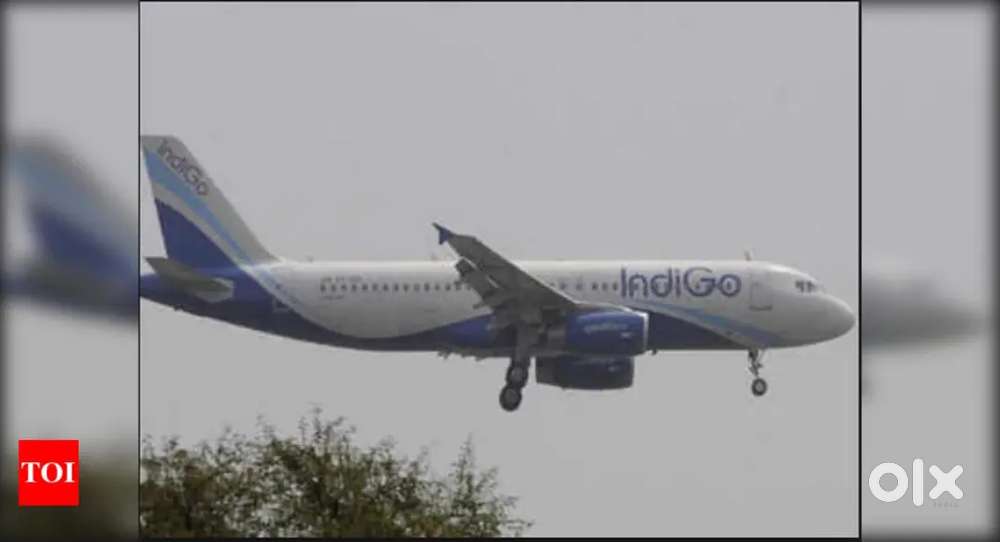 Hiring for Airport Job urgent Requirements For gwalior district apply