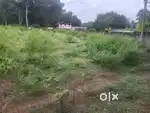 Land for sale in near karungal(Ummalakuntu)