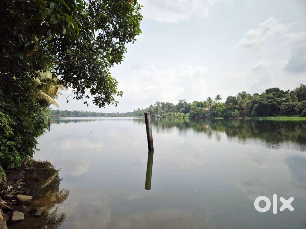 12 Cent Water-Frontage Residential Land for Sale – Varapuzha Area