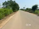 Near Gajwel,Double BT road First BIT,13 Gunta agriculture land fr sale