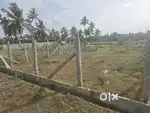 2 gunts site for sell double Site's