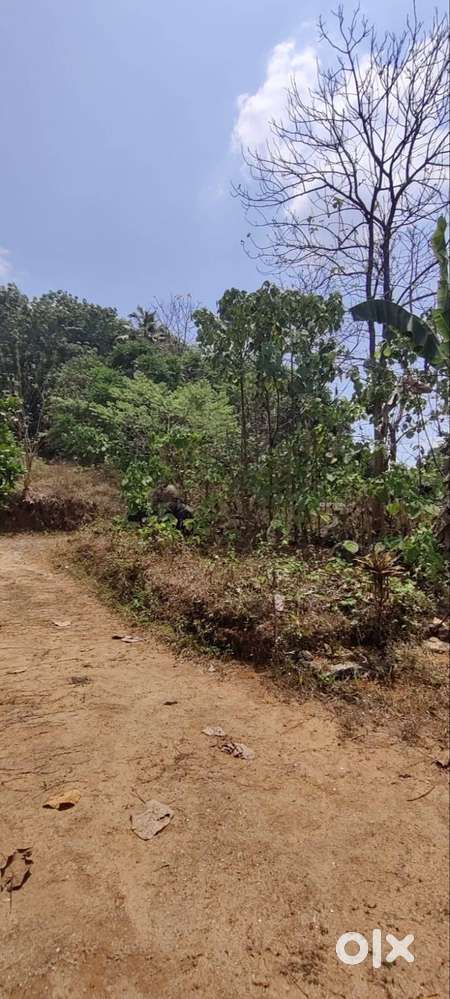 9 Cent Plot for Sale