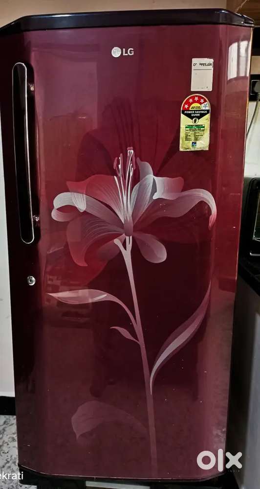 LG 165L PRINTED DOOR FRIDGE