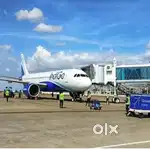 Hurry up vacancies for Ground staff near airport apply fast