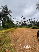 സുൽത്താൻ ബത്തേരിയിൽ വീട് നിർമ്മിക്കുവാൻ അനുയോജ്യമായ 11 സ്ഥലം