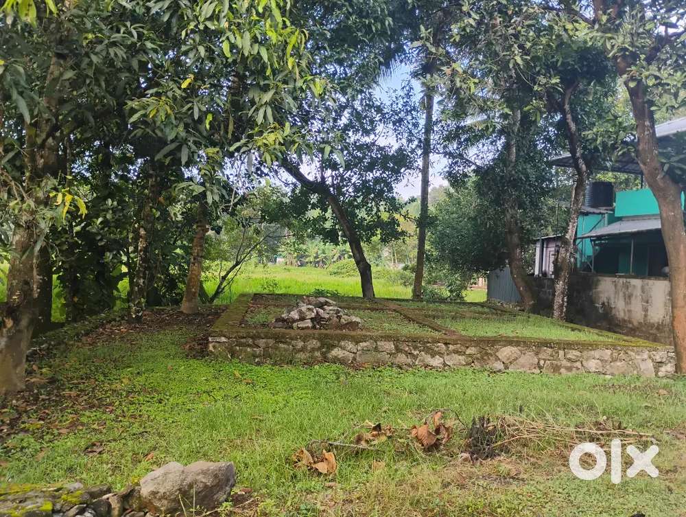 തഴുത്തലയിൽ 5സെന്റ് വസ്തു വിൽപ്പനയ്ക്ക്