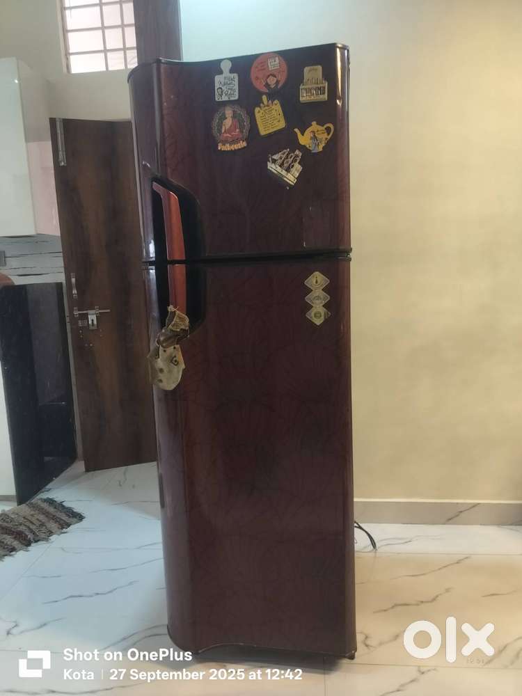 Double door fridge