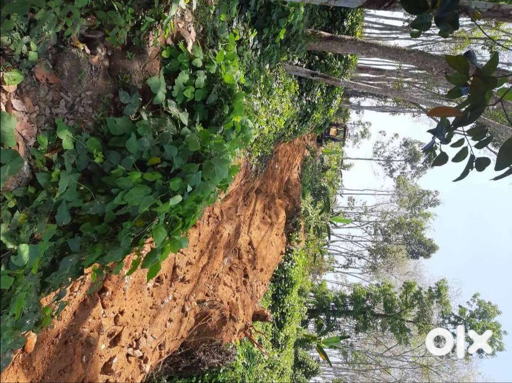 Plot for sale at nanniyod