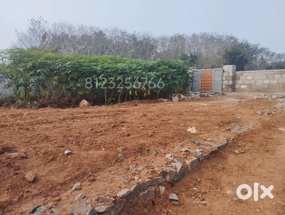 5 Cent plot for sale