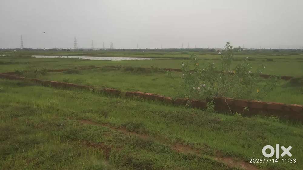 Need Marketing Executive for boys and girls