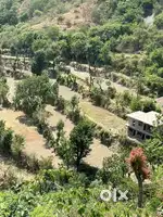 Agricultural LAND FOR SALE IN KANDAGHAT 36 BISWA