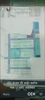 Singlex/Duplex