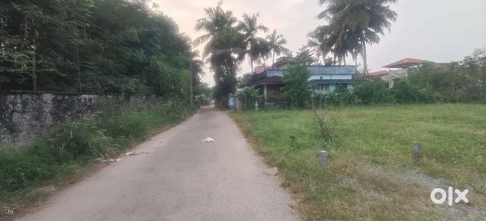 85 cent layout plot for sale in Puliyankavu temple, Kadamkode, PKD