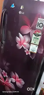 Lg 4STAR singel door invater refrigerator