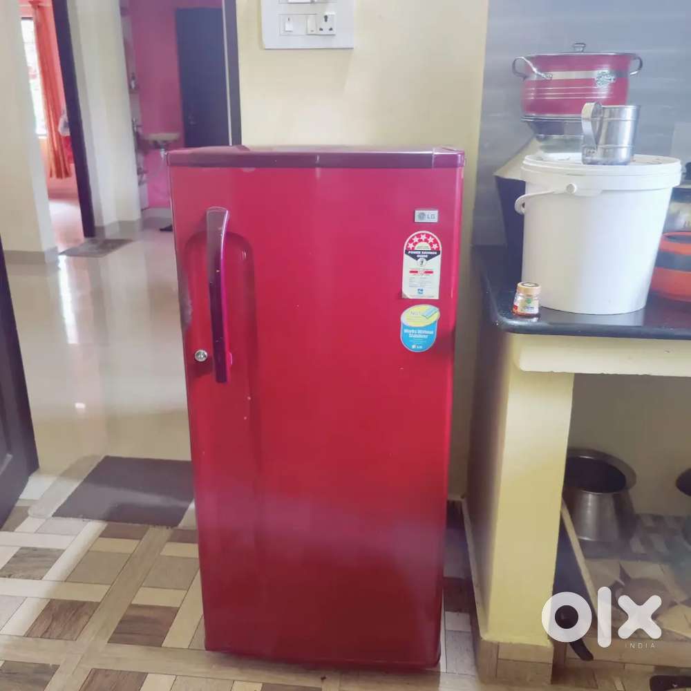 Fridge _ Works perfectly