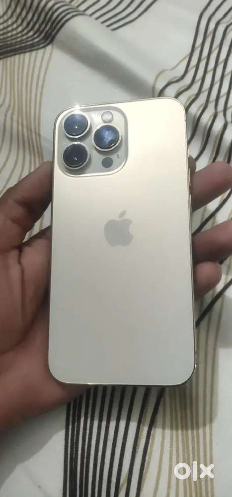 New condition  Shield phone full warranty