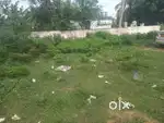 Land for rent