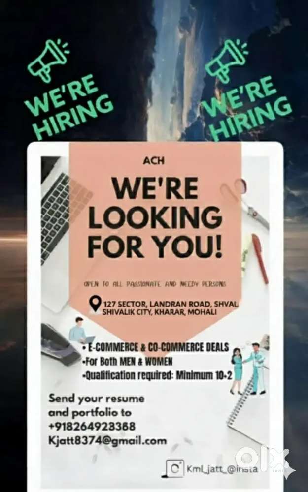 Sales profession - as a sales executive