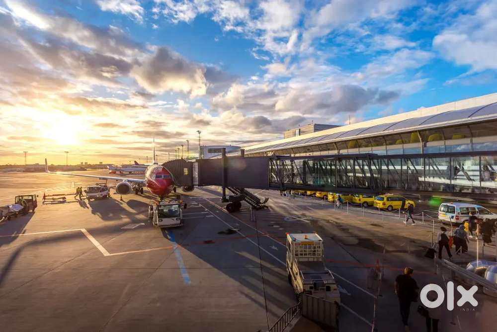 Apply Here for Airport Ground Staff Jobs