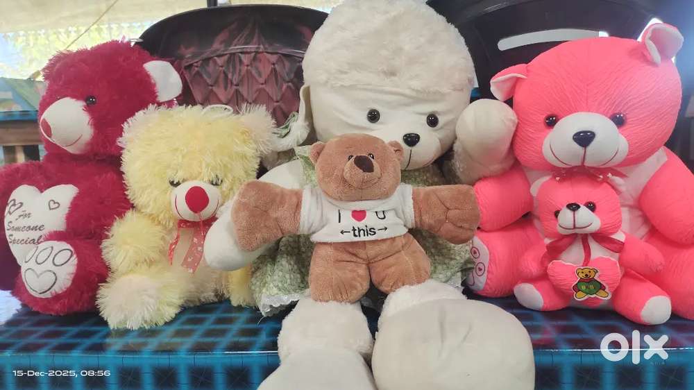 Teddy bear 5 nos