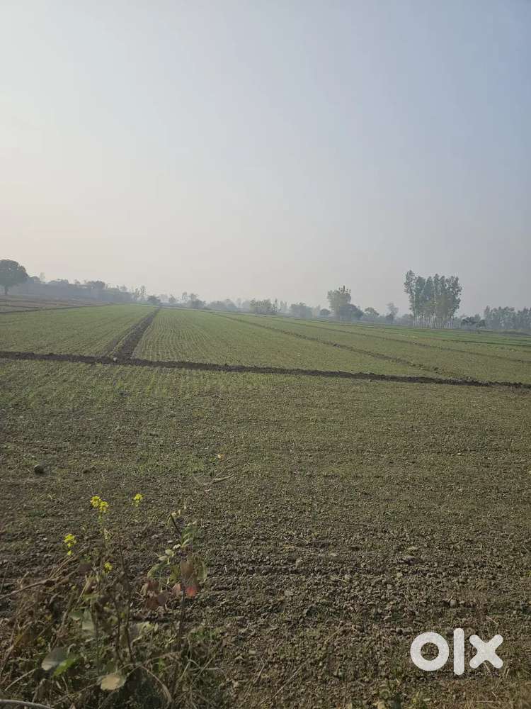 Agri land for sale near (new ring road rudrapur)