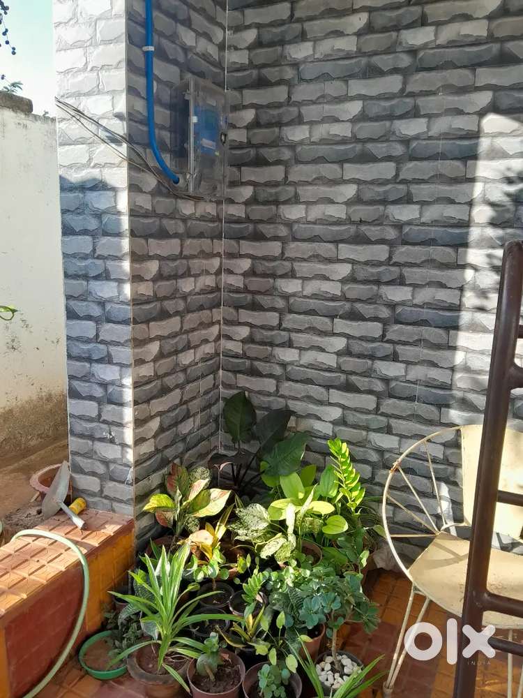 Duplex with safe & Security