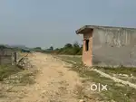 Fresh gated plotting in doiwala