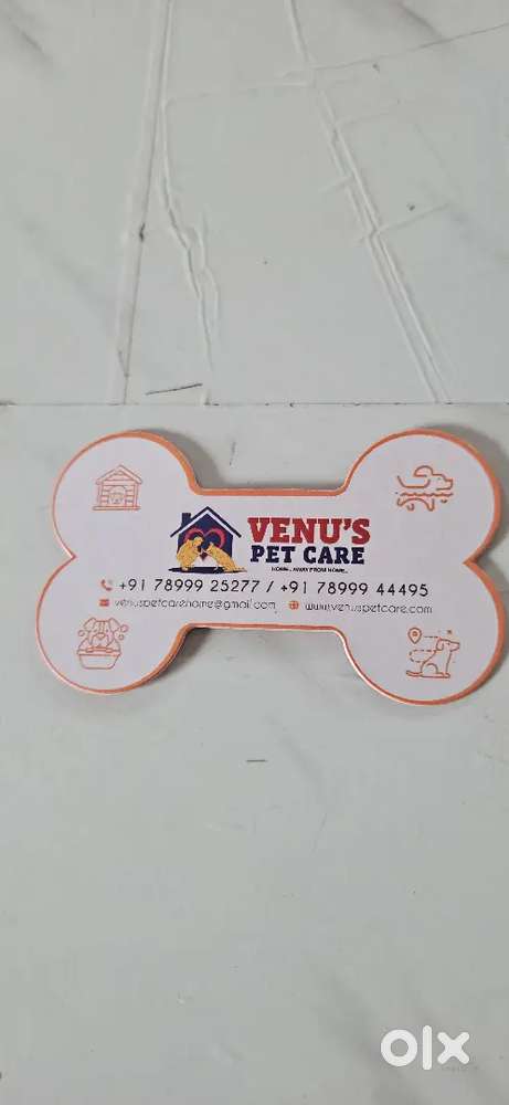 Cook with minimum 1 years experience specialist in chats