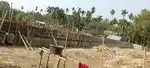 With 7 feet Boundary wall  1 kothat 10 lakh ke, 2 kotha 10 lessa mati.
