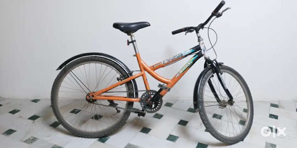 Hercules cycle 12 years child