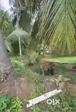 Farm Land with Guest House & Plantation for Sale – Mysuru