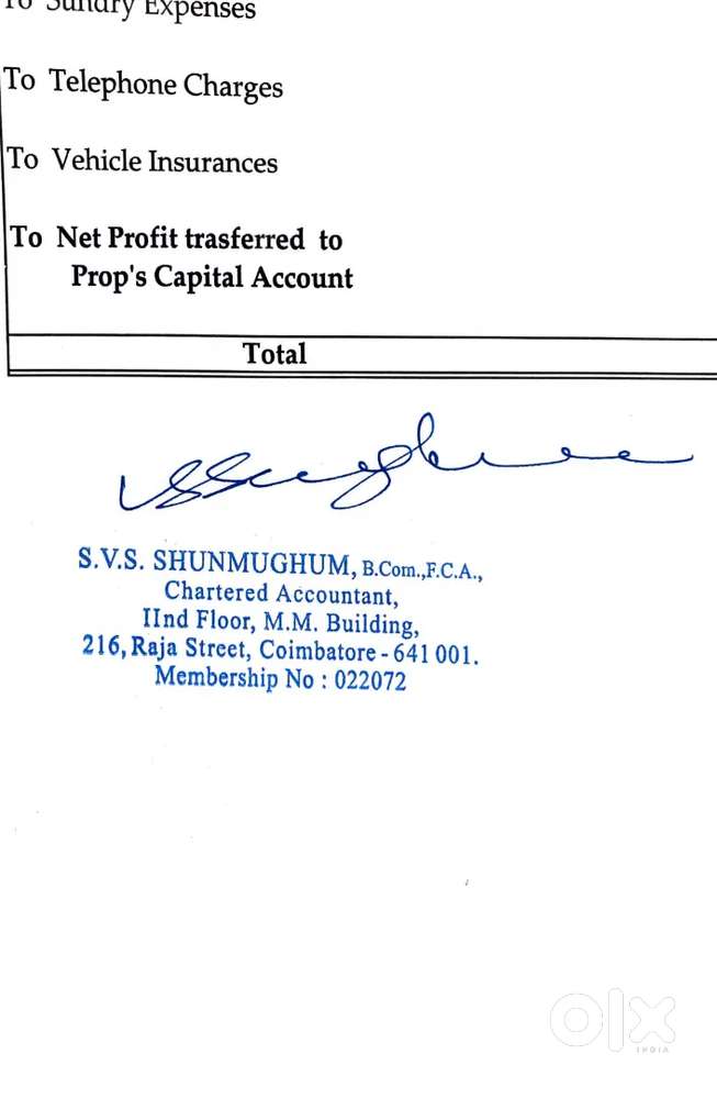 Gst and Income tax e filing and tally
