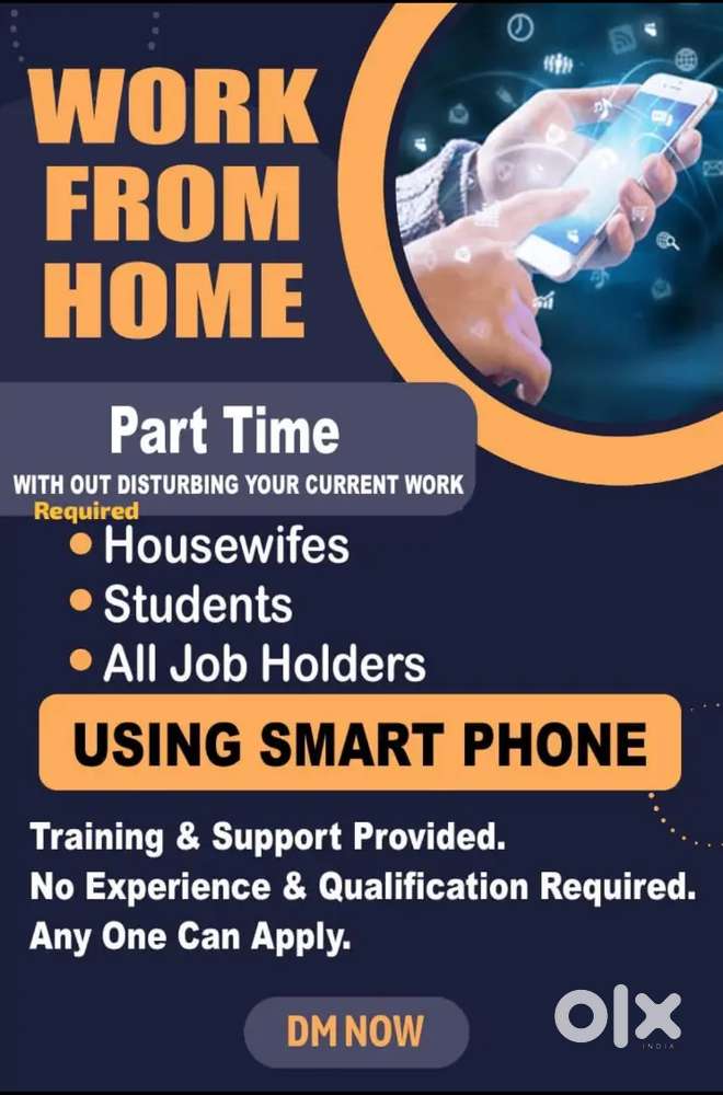 Work From Home for Students House Wife & Job Profession