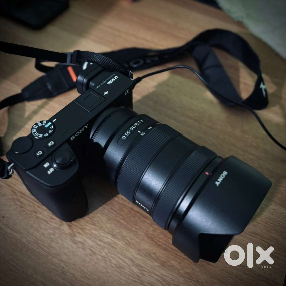 Sony A6600 Camera & Sony SEL1655G Lens