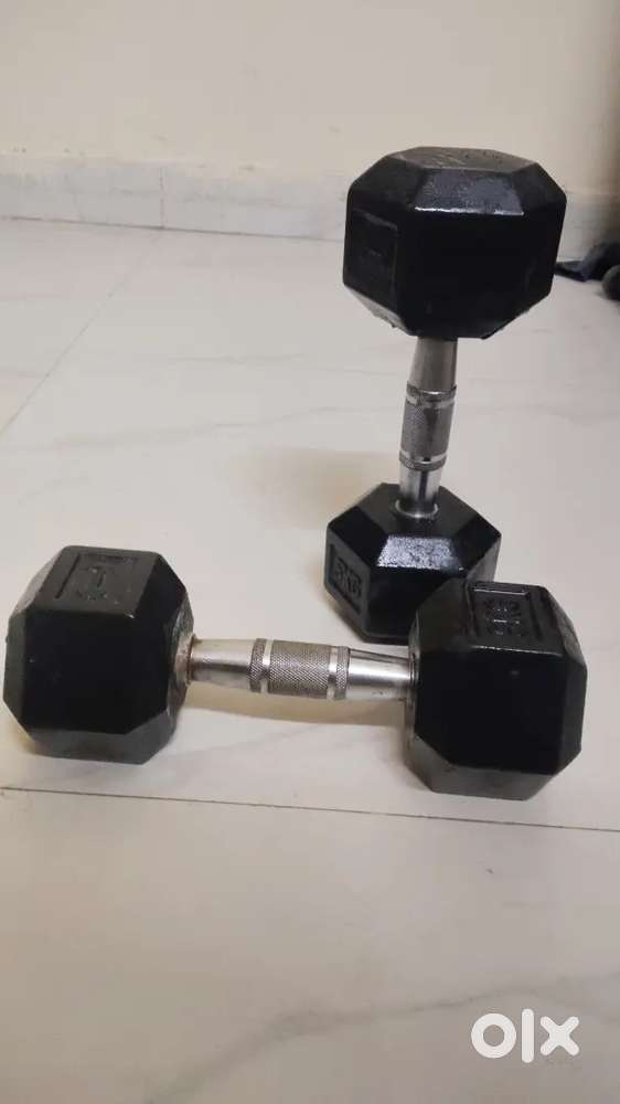 5 Kg Dumbbell