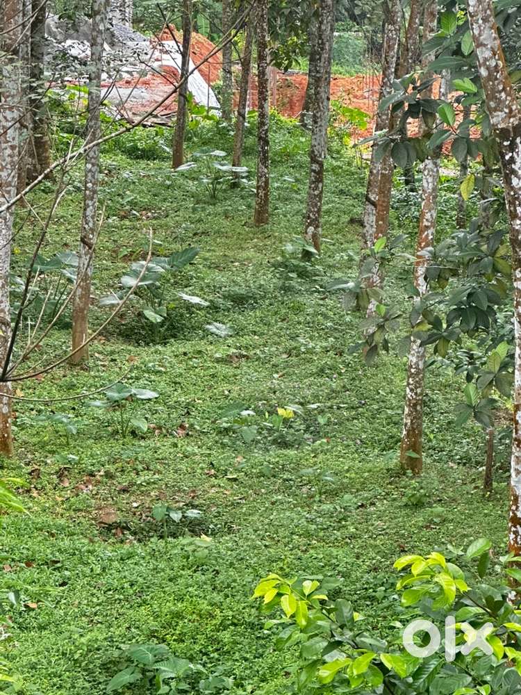 10,20,30,40 plots for sale