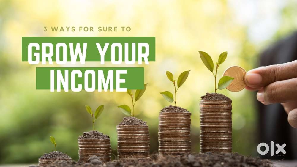 Grow your income