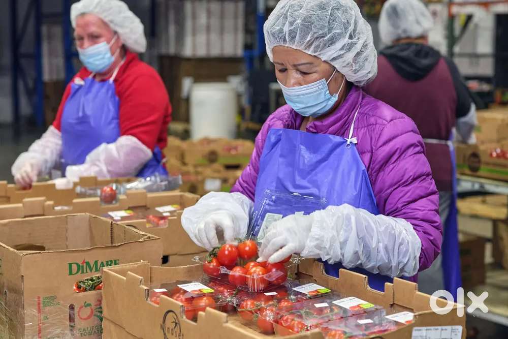 Packaging scanning job