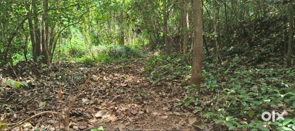 62 cents plot for sale