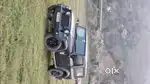 Thar for sale