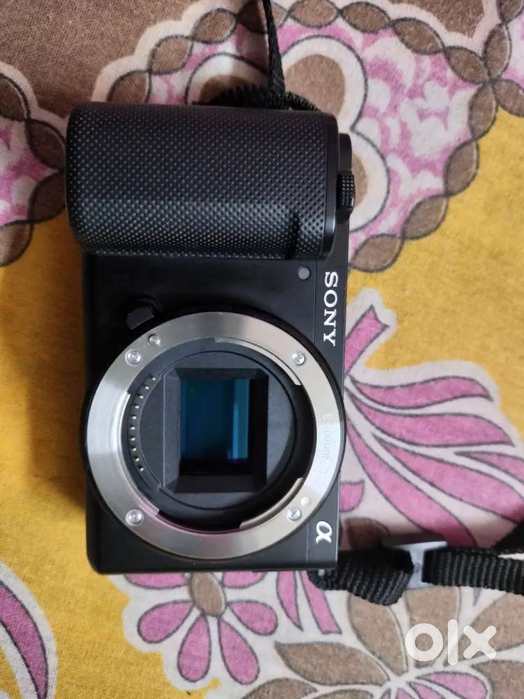 Sony ZV E10 + Sigma 30mm