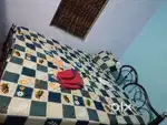 Steel double bed dark brown ,1 year old